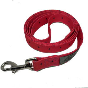 SMYCZ TAŚMOWA "Arbuzy" DLA DUŻEGO PSA