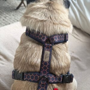 SZELKI GUARD "Heksagony"