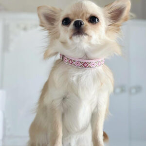 Obroża MINI "Pink Boho" – Stylowa mini obroża boho dla psa