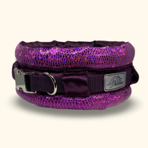 Elegancka obroża dla pudla – fuksja wężowa ze srebrną klamrą